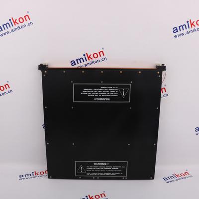 TRICONEX 3636T Distributed Control System (DCS)  | sales2@amikon.cn